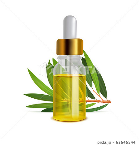 Tea Tree Oil Bottle with Leaves in Realistic Style Tea Tree Oil Bottle with Leaves in Realistic Style 63646544