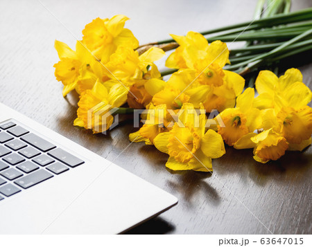 Bouquet of Narcissus or daffodils lying on silver metal laptop. Bright yellow flowers on portable device. Wooden background. 63647015