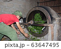 Tea Farmer In The Process Of Making Green Tea 63647495