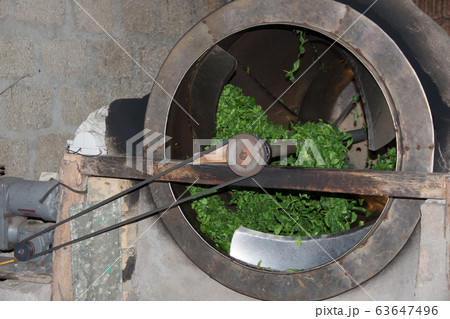 Tea Farmer In The Process Of Making Green Tea Tea Farmer In The Process Of Making Green Tea 63647496