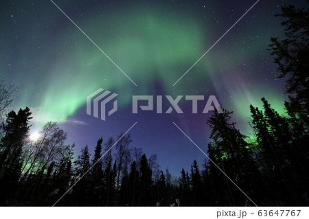 オーロラ,Aurora 63647767