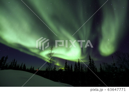 オーロラ,Aurora 63647771