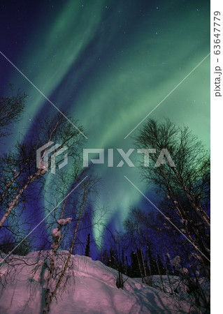 オーロラ,Aurora 63647779