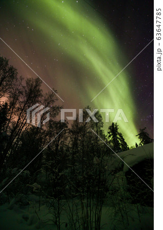 オーロラ,Aurora オーロラ,Aurora 63647785