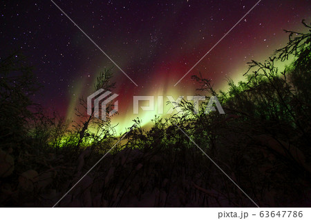 オーロラ,Aurora オーロラ,Aurora 63647786