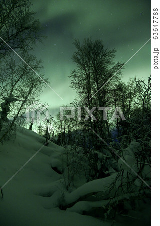 オーロラ,Aurora 63647788