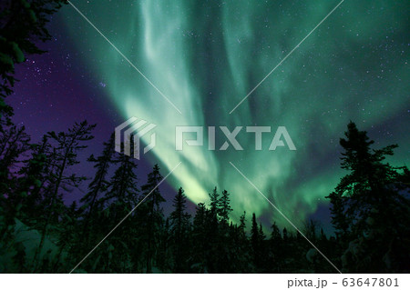 オーロラ,Aurora オーロラ,Aurora 63647801