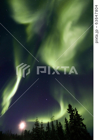 オーロラ,Aurora 63647804