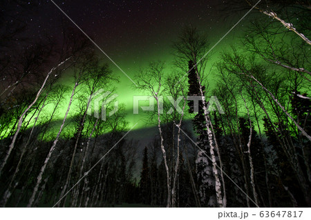 オーロラ,Aurora 63647817