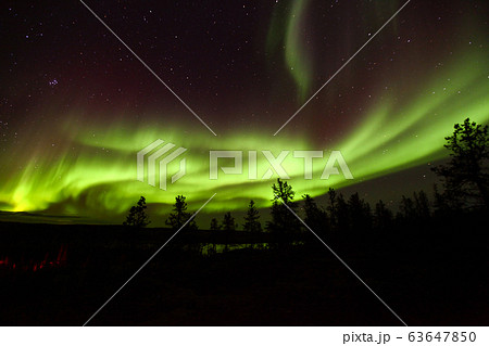 オーロラ,Aurora オーロラ,Aurora 63647850