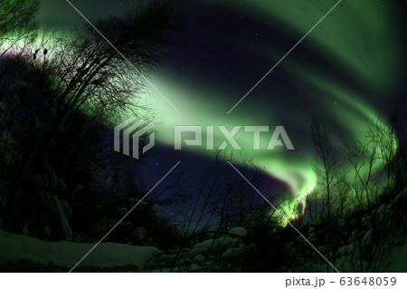 オーロラ,Aurora 63648059