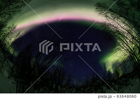 オーロラ,Aurora 63648060