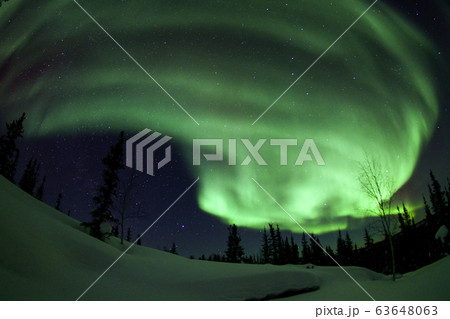 オーロラ,Aurora 63648063