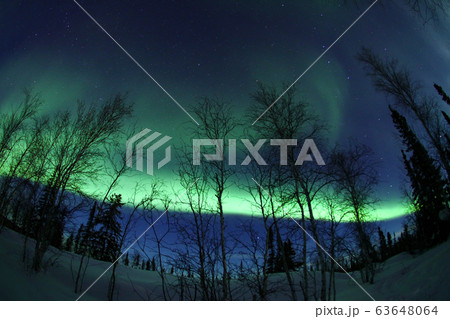 オーロラ,Aurora オーロラ,Aurora 63648064