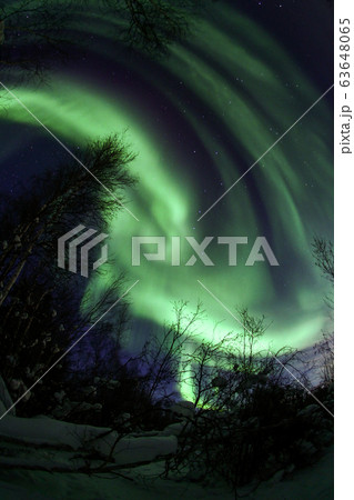 オーロラ,Aurora 63648065