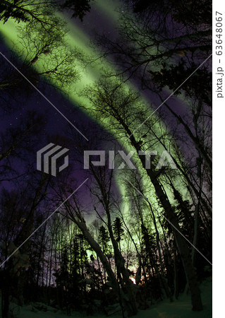 オーロラ,Aurora 63648067