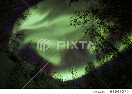 オーロラ,Aurora オーロラ,Aurora 63648070