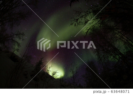 オーロラ,Aurora 63648071