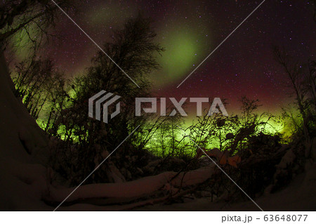 オーロラ,Aurora オーロラ,Aurora 63648077