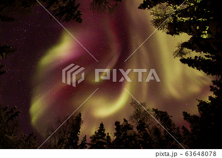 オーロラ,Aurora 63648078