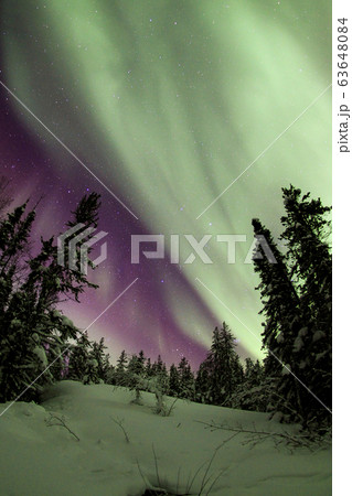 オーロラ,Aurora オーロラ,Aurora 63648084