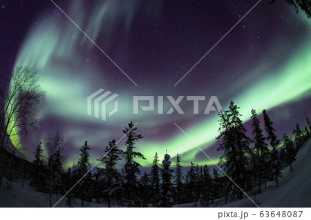 オーロラ,Aurora 63648087