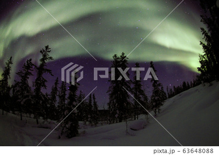オーロラ,Aurora 63648088