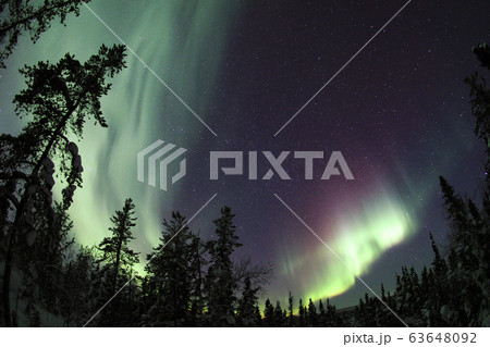 オーロラ,Aurora オーロラ,Aurora 63648092