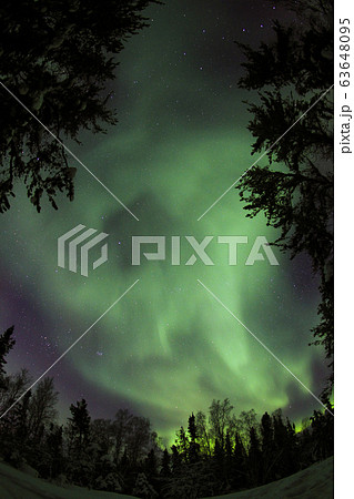 オーロラ,Aurora 63648095