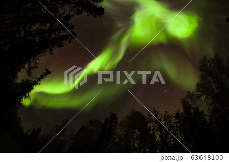 オーロラ,Aurora 63648100