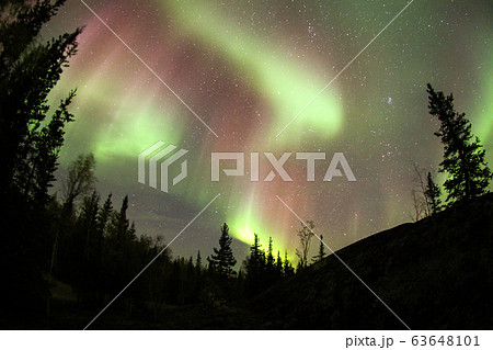 オーロラ,Aurora 63648101