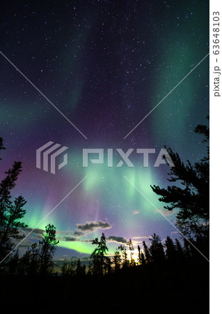 オーロラ,Aurora オーロラ,Aurora 63648103