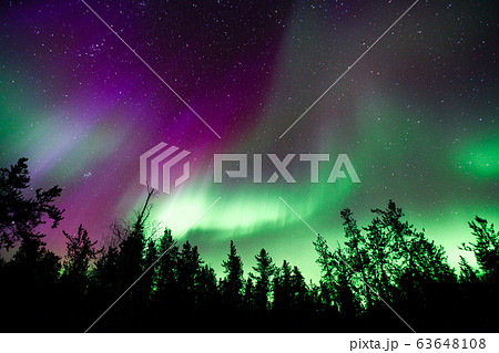 オーロラ,Aurora オーロラ,Aurora 63648108