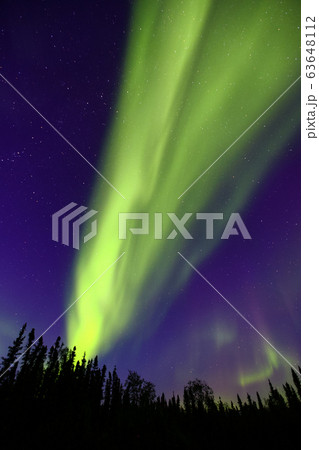 オーロラ,Aurora 63648112