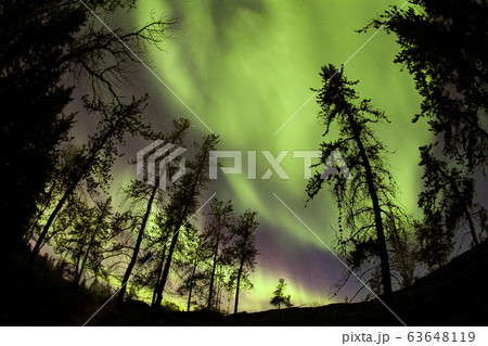オーロラ,Aurora 63648119
