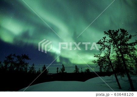 オーロラ,Aurora 63648120