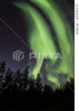 オーロラ,Aurora オーロラ,Aurora 63648121