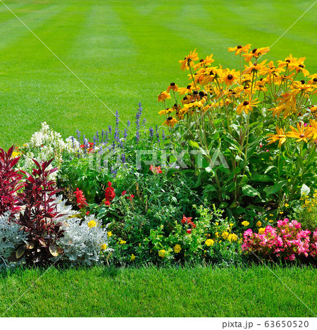 Scenic View of Colourful Flowerbeds, a Lush Green Scenic View of Colourful Flowerbeds, a Lush Green 63650520