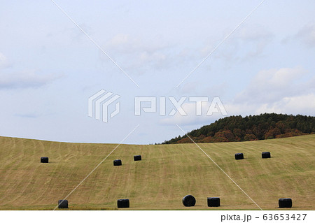 北海道　根室地方　牧草ロールのある風景　 63653427
