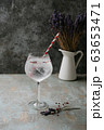 Alcohol beverage. Refreshing Gin and Tonic cocktail 63653471