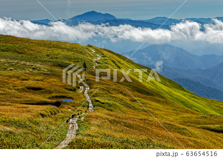 巻機山の草紅葉と燧ヶ岳の眺め 63654516
