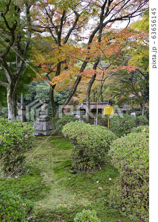 清閑寺　小督局　供養塔 63656145