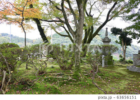 清閑寺 小督局 供養塔 清閑寺 小督局 供養塔 63656151