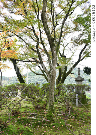 清閑寺　小督局　供養塔 63656152