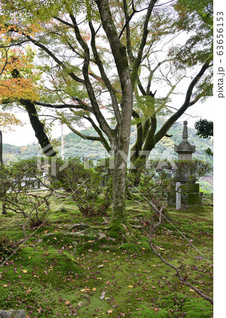 清閑寺　小督局　供養塔 63656153