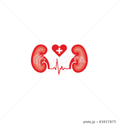 The Symbol Kidney Love Design Vectors Template The Symbol Kidney Love Design Vectors Template 63657875