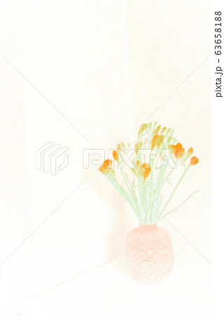 フリージア　春　花 63658188