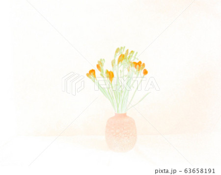 フリージア　春　花 63658191