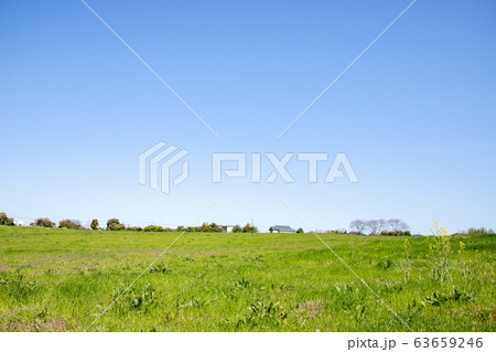 緑の丘 63659246