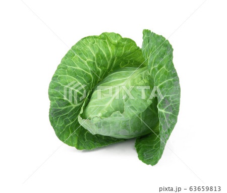 fresh green pointed cabbage isolated on white fresh green pointed cabbage isolated on white 63659813
